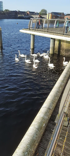 Opinii despre Abrakebabra în Limerick - Hospitality and gastronomy