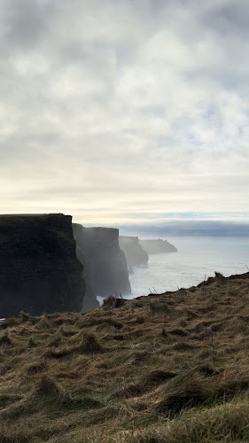 Comentarii opinii despre BlackCat - wine - tapas - rooms