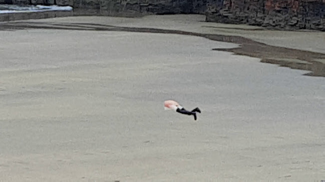 Collins' Beach Cafe and Seaweed Baths - Listowel