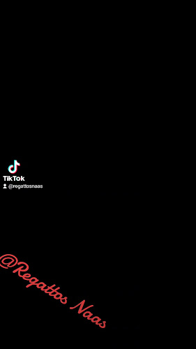 Regatto`s Naas - Naas