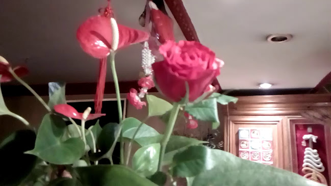 Ruen Mying Thai Restaurant