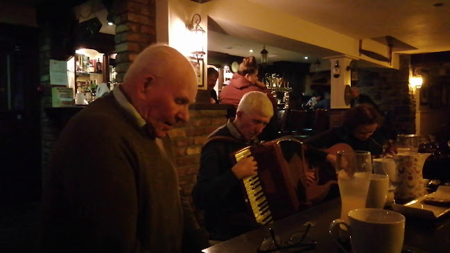 Comentarii opinii despre Foxs (Foxs Castle Lounge)