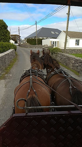 Upper Kilronan, Killeany, Aran Islands, Co. Galway