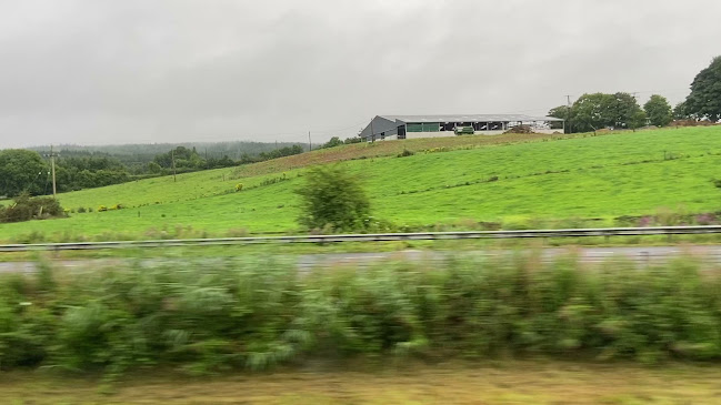 Comentarii opinii despre Setright's Tavern