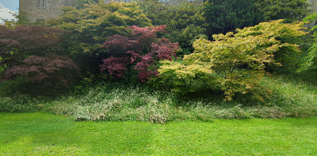 Lismore Farmers & Craft Market