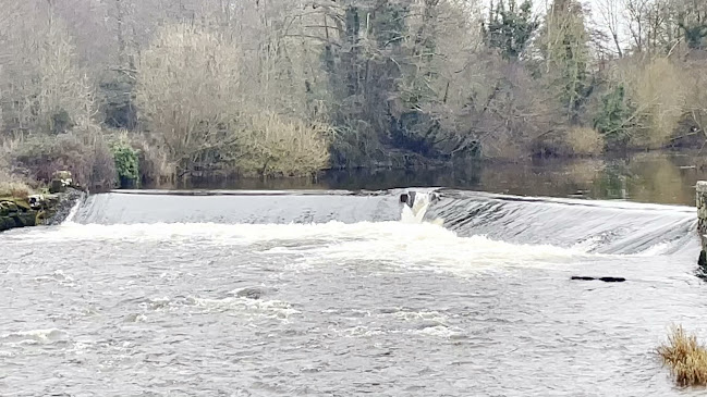 Opinii despre The Millhouse Bar & Grill în Annacotty - Hospitality and gastronomy