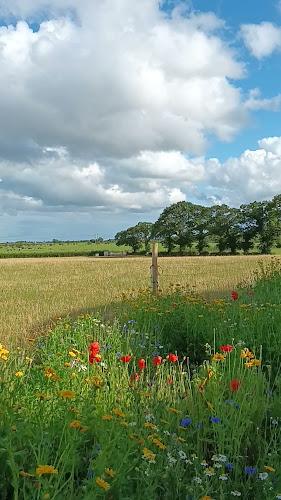 Strandfield - Dundalk