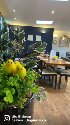 The Village Inn, Bar and Restaurant, Ballinahown - Ballynahown