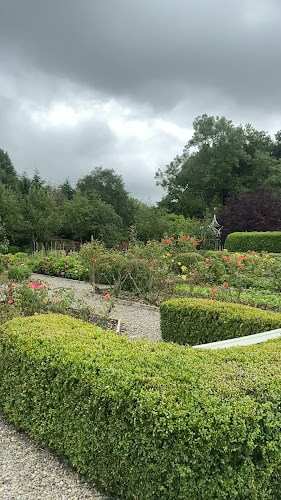 The Duck Restaurant - Hospitality and gastronomy