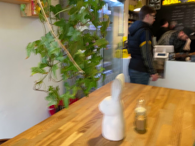 Comentarii opinii despre Bean in Dingle