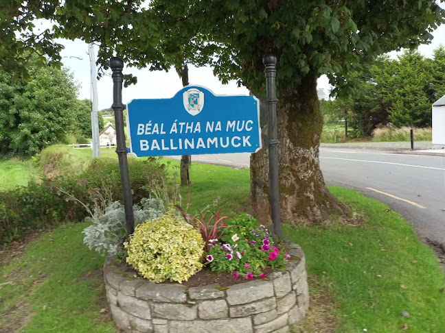 Comentarii opinii despre 98 Bar Ballinamuck