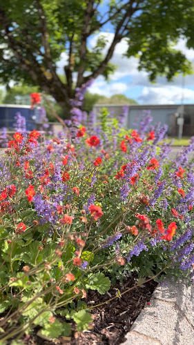 Wilde Irish Chocolates - Chocolate Factory, Hot Chocolate Cafe& Coffee Dock & Chocolate Shop