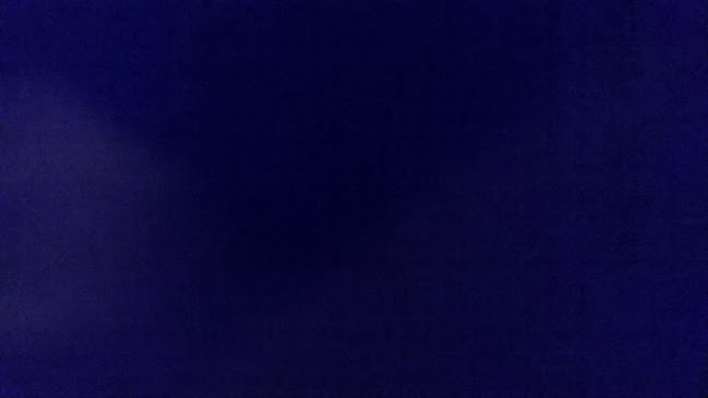 Wild and Native Seafood Restaurant