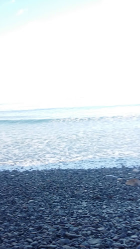 P. DAN'S Bar and Restaurant - Hospitality and gastronomy