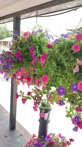 Tomnafunshoge, Enniscorthy, Co. Wexford, Y21 YY67