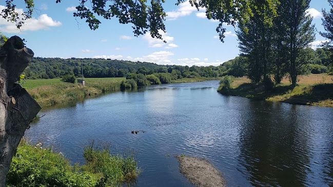 The Anglers Bar & Restaurant - Hospitality and gastronomy