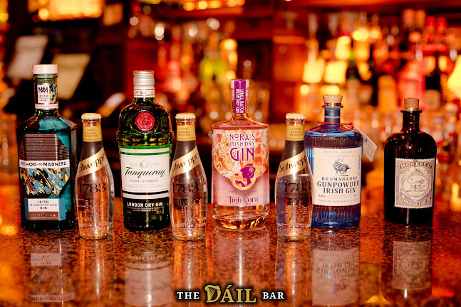 The Dáil Bar - Hospitality and gastronomy