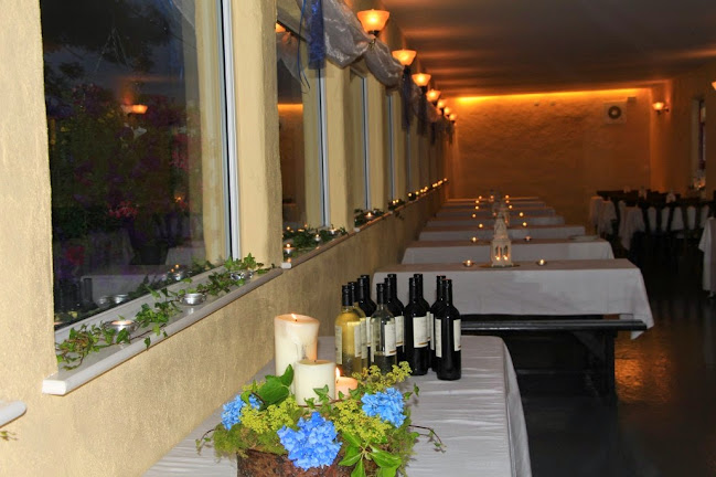 Paddy's Bar and Restaurant - Hospitality and gastronomy