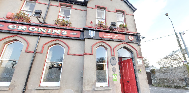Opinii despre Cronin's Pub în Cork - Hospitality and gastronomy