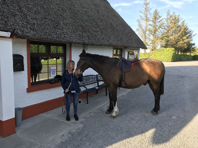 The Thatch Bar - Hospitality and gastronomy