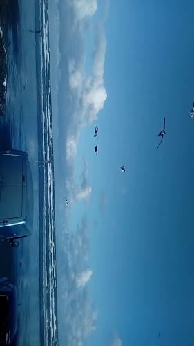 Opinii despre Bistro Bt în Drogheda - Hospitality and gastronomy