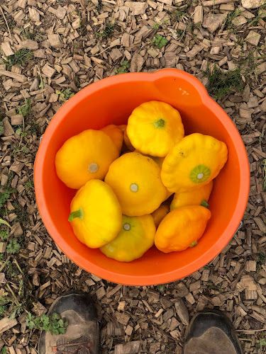 51 Dominick St Lower, Galway, H91 E3F1