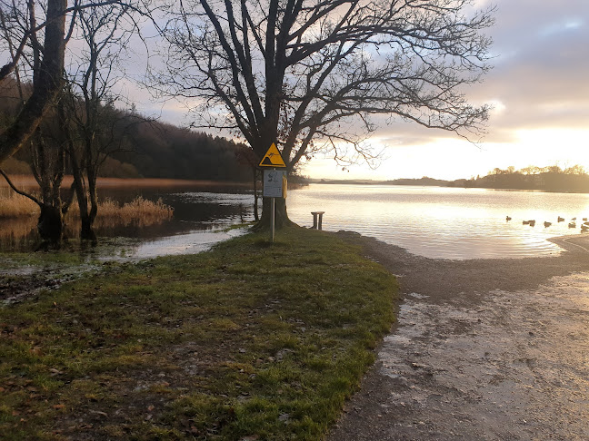 Opinii despre The Trailer Café în Castleblayney - Hospitality and gastronomy