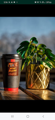 Mini Mocha - Newbridge