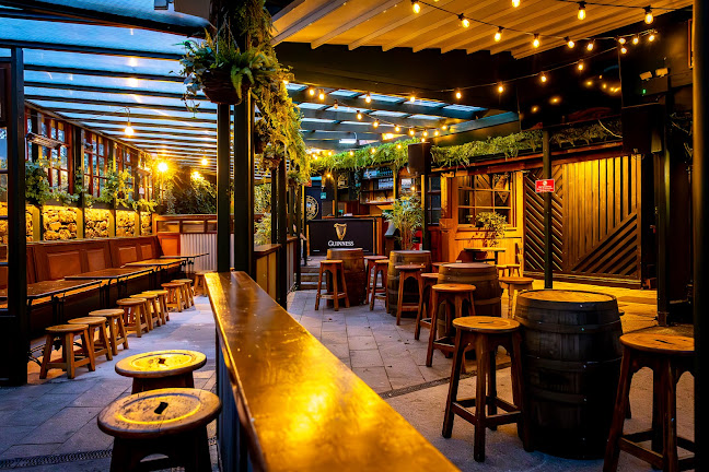 McDonagh’s "The Thatch" Bar & Beergarden - Hospitality and gastronomy