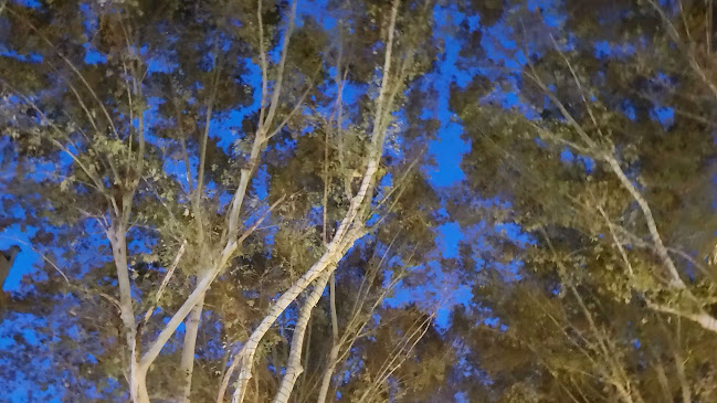 Bethlehem Ireland - Dublin Road