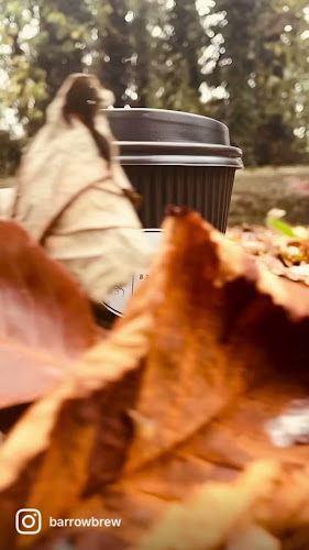 Milford Weir, Milford, Co. Carlow