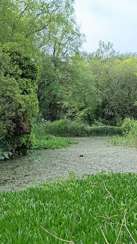 Holywell - Co. Sligo