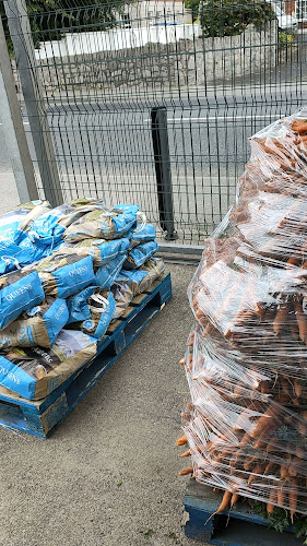 Opinii despre Mossy's Fruit and Veg Shop în Newcastle West - Hospitality and gastronomy