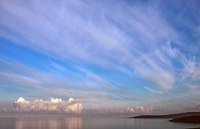 Comentarii opinii despre The Pink Elephant