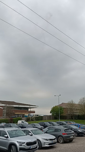 Ocana's Bar & Restaurant