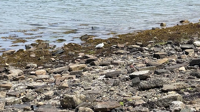 Dunfanaghy, Co. Donegal