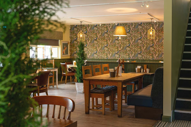 Comentarii opinii despre Sage & Stone