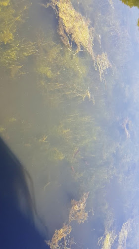 Nanny Quinn's - Killucan