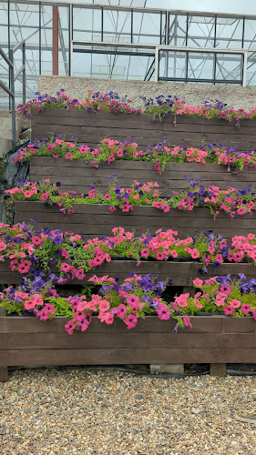 The Village at Wheelocks - Hospitality and gastronomy