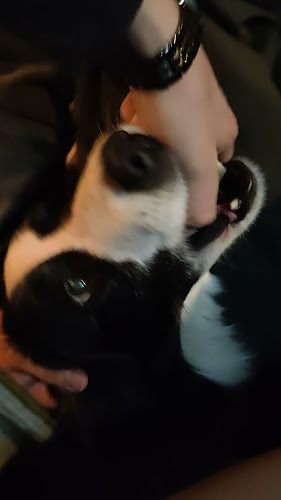 Comentarii opinii despre Harkins Bar & Lounge