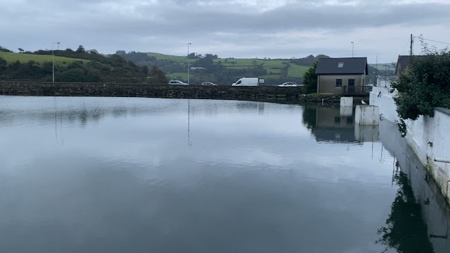 Opinii despre The Dock Wall în Skibbereen - Hospitality and gastronomy