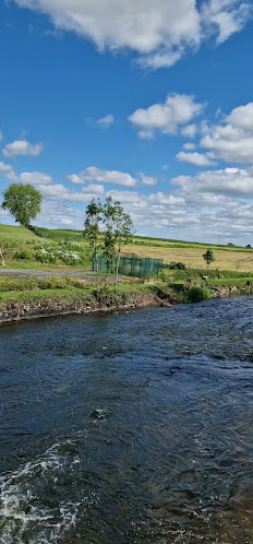 N74, Persse's-Lot, Golden, Co. Tipperary, E25 NR53