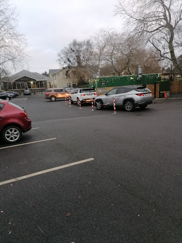 Comentarii opinii despre Mini Mocha