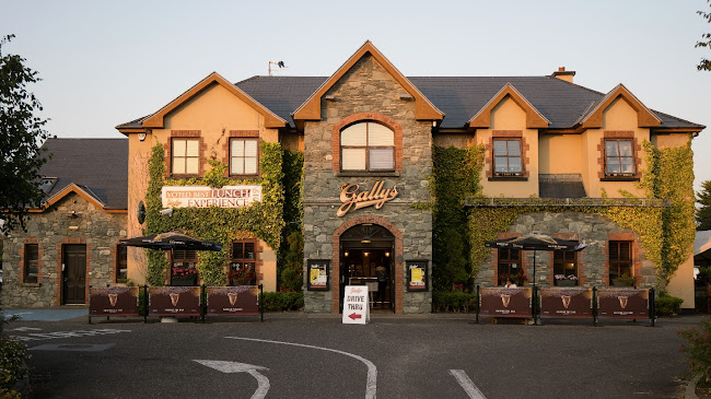 Opinii despre Gally's Bar & Restaurant în Tralee - Hospitality and gastronomy