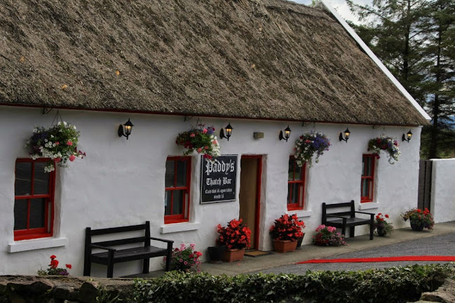 Opinii despre Paddy's Bar and Restaurant în Tourmakeady - Hospitality and gastronomy