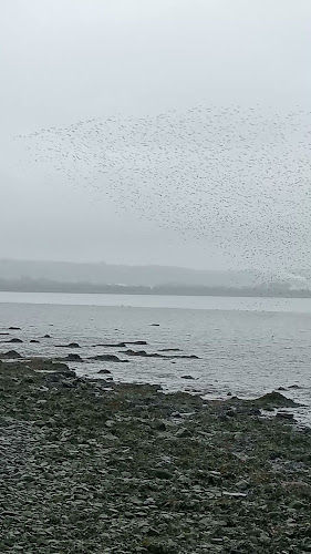 Comentarii opinii despre Cuppa Joe’s