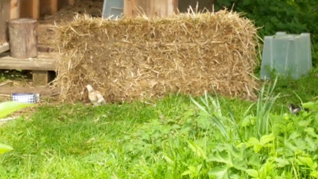 Woodlands Cottage, Woodfield Or Tullynisk, Birr, Co. Offaly