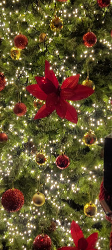 Opinii despre The Oar Bar în Cork - Hospitality and gastronomy