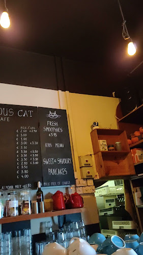 Opinii despre Curious Cat Café în Killarney - Hospitality and gastronomy