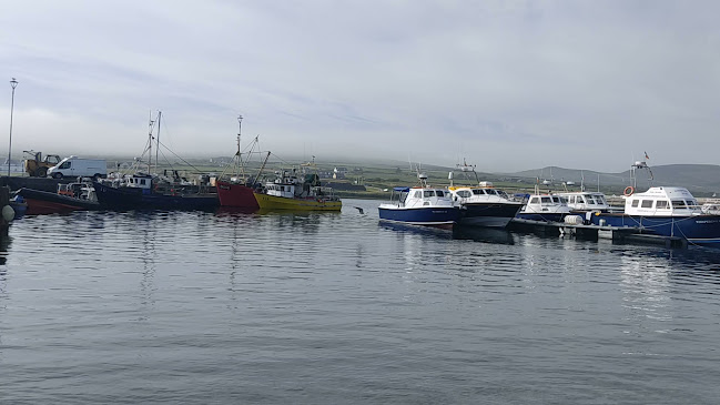 The Moorings Guesthouse & Seafood Restaurant @ The Bridge Bar - Kilrush